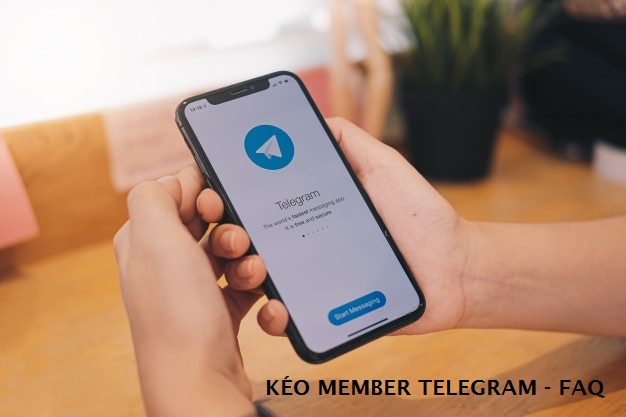 TELEGRAM FAQ