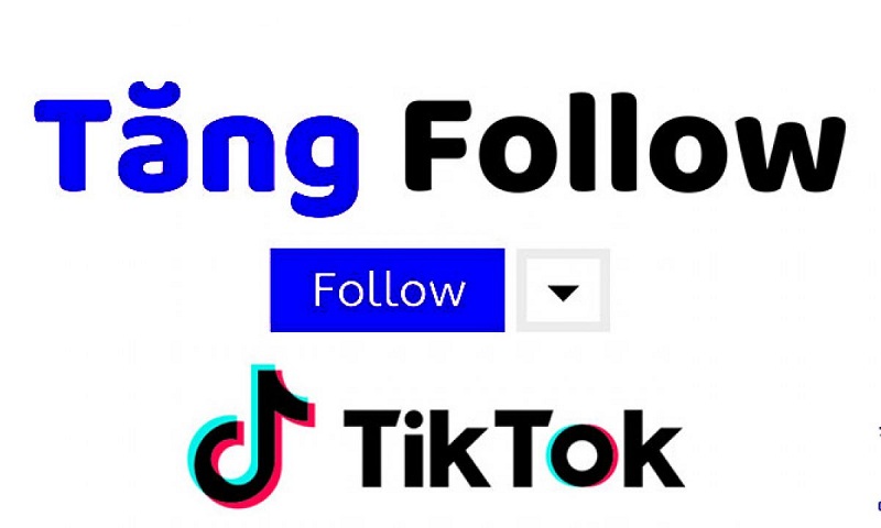 tăng follow Tik Tok