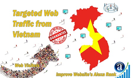 Mua traffic Việt cho website